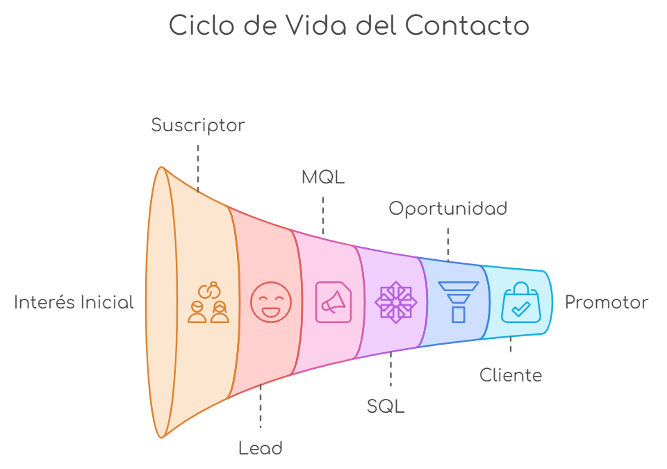 etapas del ciclo de vida del contacto
